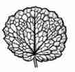 Reticulate - Dense